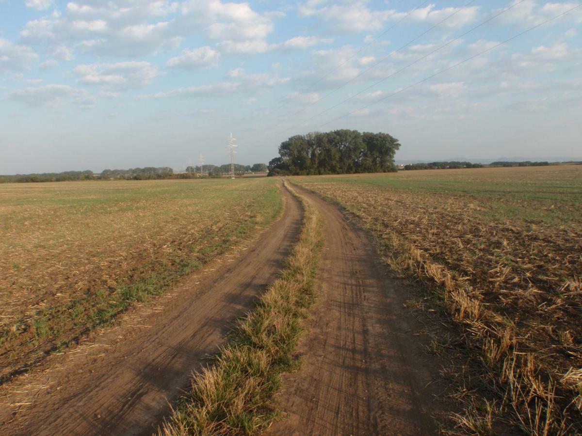 Penzion U maléřa Hroznova Lhota Esterno foto